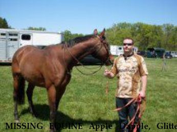 MISSING EQUINE Apple Dapple, Glitter and Flippy REWARD Near Middleburg, VA, 20117